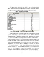 Biznesa plāns 'Biznesa plāns', 21.