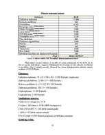 Biznesa plāns 'Biznesa plāns', 22.