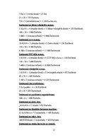 Biznesa plāns 'Biznesa plāns', 23.