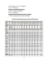 Biznesa plāns 'Biznesa plāns', 24.