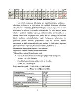 Biznesa plāns 'Biznesa plāns', 25.