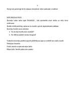 Konspekts 'Pasakas', 4.