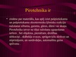 Prezentācija 'Pirotehnika', 2.