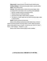 Diplomdarbs 'Dažādu socializācijas aģentu ietekme uz pusaudžu attīstību', 8.