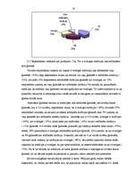 Diplomdarbs 'Dažādu socializācijas aģentu ietekme uz pusaudžu attīstību', 37.