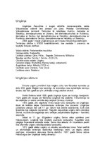 Referāts 'Ungārijas valsts raksturojums', 2.