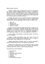 Referāts 'Ungārijas valsts raksturojums', 4.