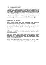 Referāts 'Ungārijas valsts raksturojums', 5.