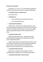 Prakses atskaite 'Prakse SIA "Datorsalons Vesa"', 5.