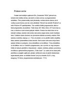 Prakses atskaite 'Prakse SIA "Datorsalons Vesa"', 7.