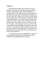 Prakses atskaite 'Prakse SIA "Datorsalons Vesa"', 11.