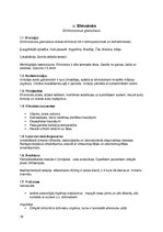 Konspekts 'Medicīniskā parazitoloģija', 19.