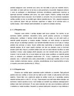 Referāts 'Vadītāja loma uzņēmuma vadīšanā', 7.