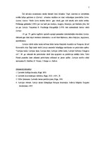 Eseja 'Termina "Latvija" vēsturiskā izcelšanās un attīstība', 2.