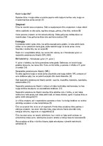 Prakses atskaite 'Klīniskais gadījums akūtas kuņģa čūlas asiņošana', 4.