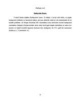 Referāts 'Biodegviela, tās veidi un izmantošanas perspektīvas Latvijā', 28.