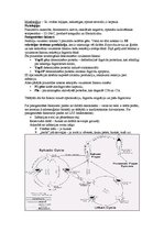 Konspekts 'Mikrobioloģija. Sevišķi bīstamās bakteriālās infekcijas', 4.