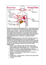 Konspekts 'Mikrobioloģija. Sevišķi bīstamās bakteriālās infekcijas', 5.