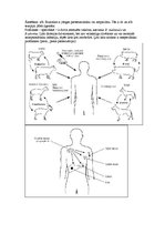Konspekts 'Mikrobioloģija. Sevišķi bīstamās bakteriālās infekcijas', 8.