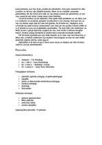 Referāts 'Izglītības iestādes apraksts', 4.