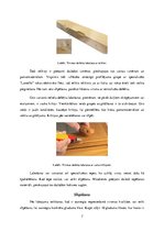 Konspekts 'Sagatavošana apdarei', 7.