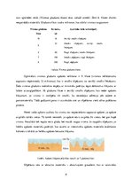 Konspekts 'Sagatavošana apdarei', 8.