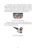 Konspekts 'Sagatavošana apdarei', 21.