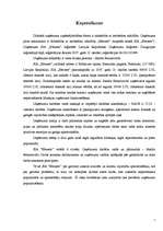 Biznesa plāns 'Biznesa plāns viesu namam', 4.