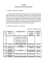 Biznesa plāns 'Biznesa plāns viesu namam', 8.