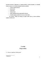 Biznesa plāns 'Biznesa plāns viesu namam', 11.