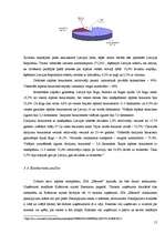 Biznesa plāns 'Biznesa plāns viesu namam', 15.