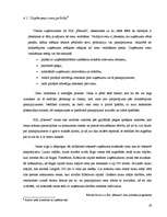 Biznesa plāns 'Biznesa plāns viesu namam', 19.