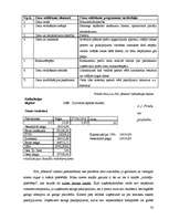 Biznesa plāns 'Biznesa plāns viesu namam', 20.