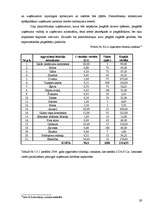 Biznesa plāns 'Biznesa plāns viesu namam', 29.