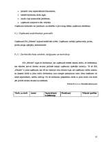 Biznesa plāns 'Biznesa plāns viesu namam', 32.