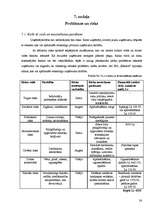 Biznesa plāns 'Biznesa plāns viesu namam', 36.