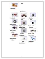 Konspekts 'Floristika', 7.