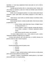 Konspekts 'Saistību tiesības', 3.