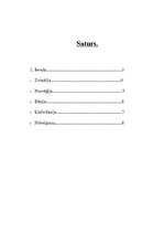 Referāts 'Augstākās izglītības iespējas Norvēģijā, Zviedrijā, Lielbritānijā un Dānijā', 2.