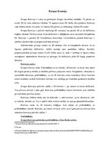 Konspekts 'Jaunā Eiropas Savienības Komisija', 2.