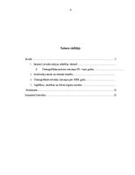 Referāts 'Demogrāfiskie procesi Latvijā', 2.