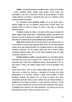 Referāts 'VAS "Latvijas Pasts" klientu piesaistīšanas taktika un tās uzlabošanas iespējas', 10.