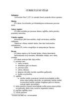 Konspekts 'Curriculum Vitae', 1.
