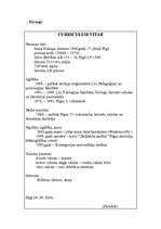 Konspekts 'Curriculum Vitae', 3.