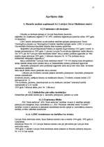 Referāts 'Finanšu rādītāju vadīšana', 17.