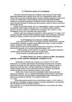 Referāts 'Finanšu rādītāju vadīšana', 19.