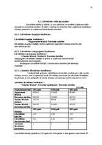 Referāts 'Finanšu rādītāju vadīšana', 20.