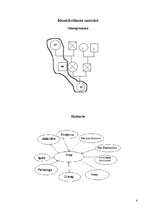 Referāts 'Sociālā gadījuma risinājums', 4.