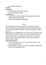 Referāts 'Sociālā gadījuma risinājums', 6.