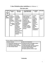 Referāts 'Sociālā gadījuma risinājums', 7.